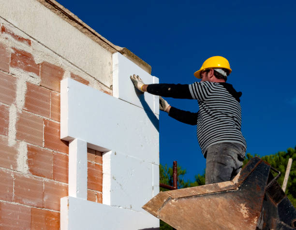Best Insulation Maintenance and Repair in Pleasant View, UT