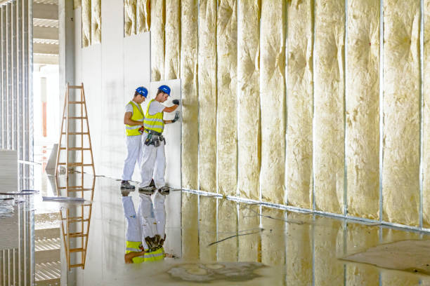 Best Insulation Installation Services in Pleasant View, UT